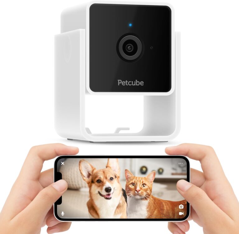 Telecamera per Animali Domestici – Quale Scegliere? - Shoptips.it