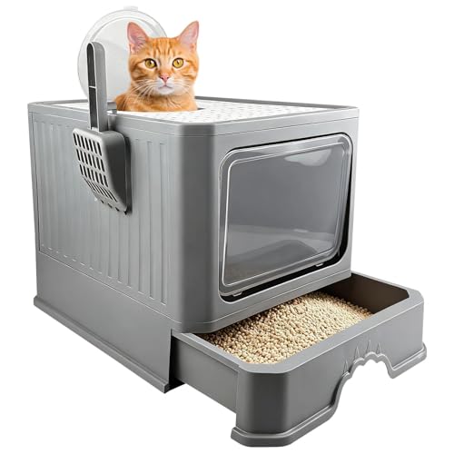 Migliori Lettiere E Accessori Per Gatti - Guida all'acquisto | Shoptips.it
