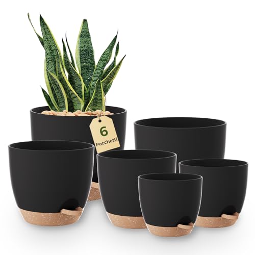 Migliori Vasi Autoirriganti per Piante da Interno - Shoptips.it