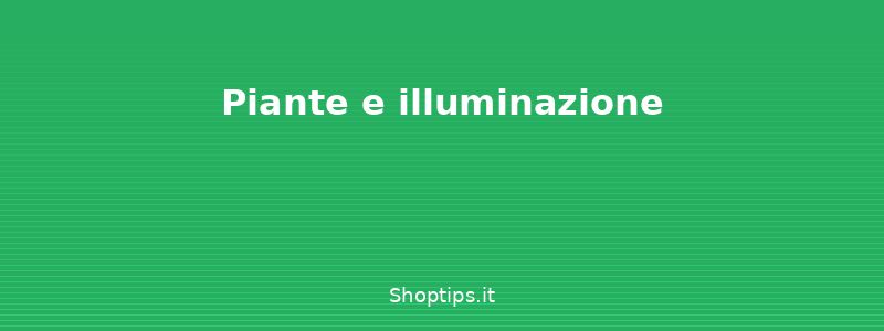 Piante e illuminazione - Come arredare il balcone o il - Shoptips.it