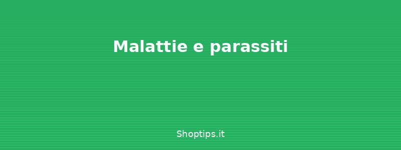 Malattie e parassiti - Cura delle piante da appartame - Shoptips.it