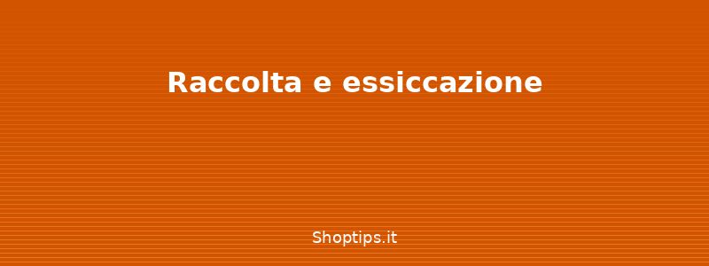 Raccolta e essiccazione - Erbe aromatiche: coltivazione, - Shoptips.it
