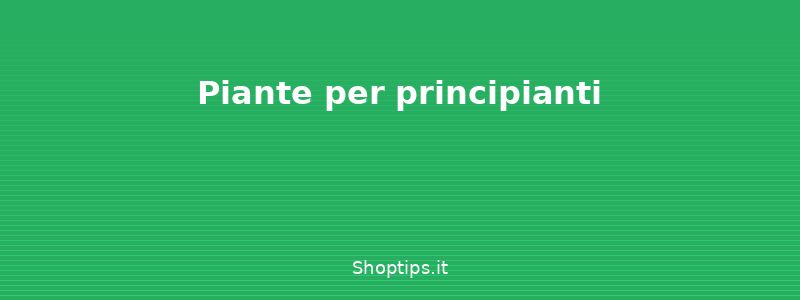 Piante per principianti - Cura delle piante da appartame - Shoptips.it