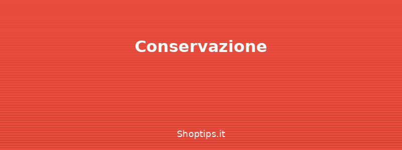 Conservazione - Come pulire e conservare i gio - Shoptips.it