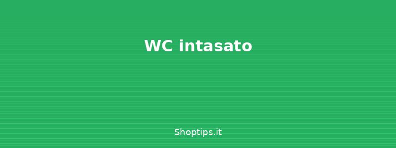 WC intasato - Come sbloccare scarichi e wc i - Shoptips.it