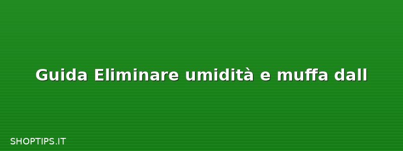 Guida Eliminare umidità e muffa dall