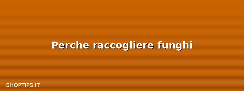 Perche raccogliere funghi