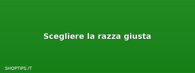Scegliere la razza giusta