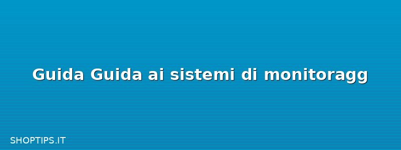 Guida Guida ai sistemi di monitoragg