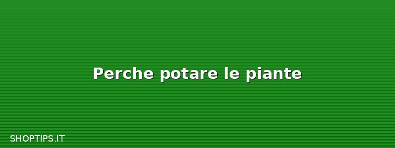 Perche potare le piante