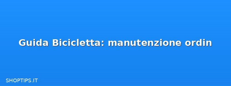 Guida Bicicletta: manutenzione ordin