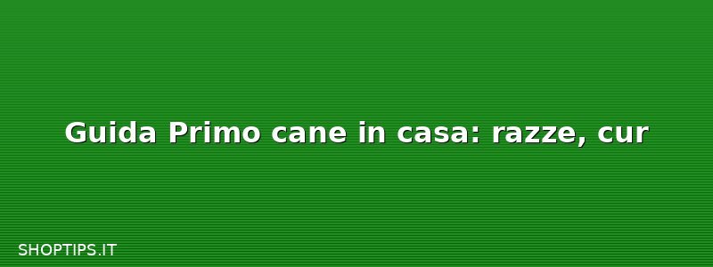 Guida Primo cane in casa: razze, cur
