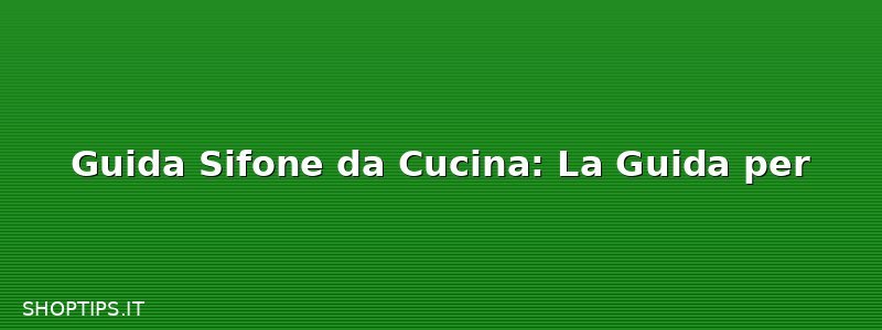 Guida Sifone da Cucina: La Guida per