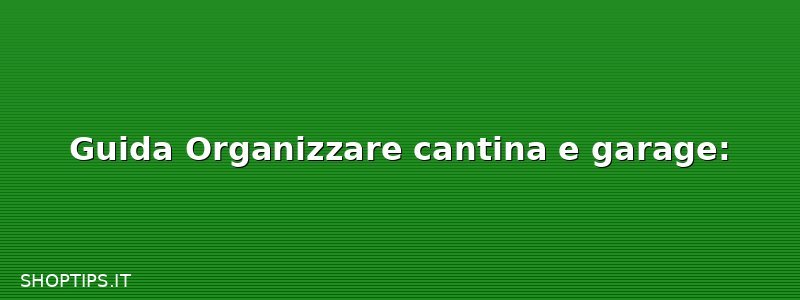 Guida Organizzare cantina e garage: 