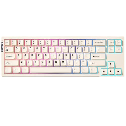 YUNZII RT68 Rapid Trigger Gaming Keyboard, Hall Effect Magnetic 68-Key Wired RGB Tastiera Hot Swapped PC Gaming Keyboard, tastiera meccanica regolabile Actuation TKL (bianco)