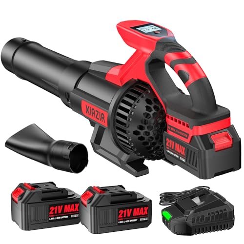 Soffiatore senza fili XIAZIR con display LCD e 2 batterie