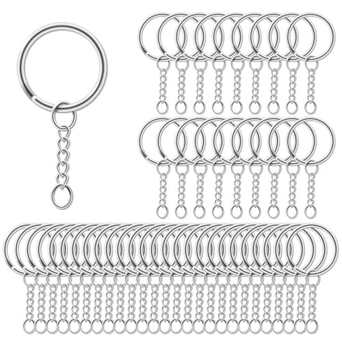 AiQInu 100 Pezzi 25mm Anelli Portachiavi con Catena, Anelli 